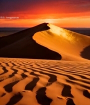  沙漠日落沙丘风景1622#竖屏 	 