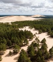  沙漠森林航拍全景1286#竖屏 	 