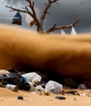  沙漠枯树旁的垃圾堆积场景3733#竖屏 	 