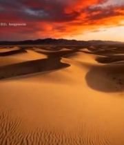  沙漠黄昏风光全景4291#竖屏 	 