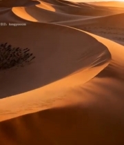  沙漠沙丘日落景观2709#竖屏 	 