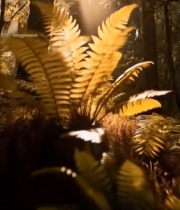  森林中阳光透过树木照射场景1574#竖屏 	 