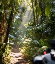  森林中的机器人探索画面2353#竖屏 	 