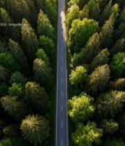  森林中道路航拍全景1829#竖屏 	 