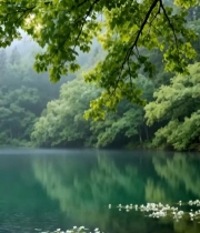  森林湖泊自然景观6202#竖屏 	 