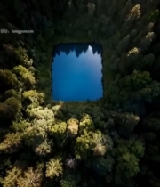  森林中方形湖泊俯瞰景象6901#竖屏 	 