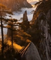  黄山云海日出自然风光4965#竖屏 	 