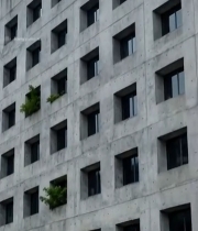  灰色混凝土高楼外立面900#竖屏 	 