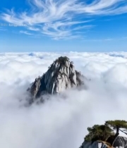  黄山云海缭绕山峰风景3296#竖屏 	 