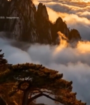  黄山日出云海自然风光(1)3665#竖屏 	 