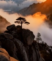  黄山日出云海景观1618#竖屏 	 