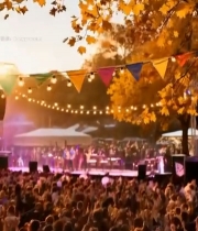  户外音乐会现场观众群像1555#竖屏 	 