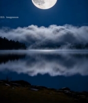  湖面夜空明月倒影素材5174#竖屏 	 