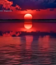  湖面夕阳倒影自然风光6658#竖屏 	 