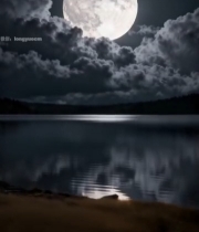  湖面夜空的满月景象453#竖屏 	 