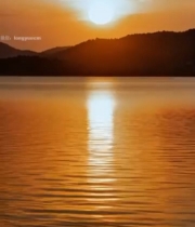  湖面夕阳全景4356#竖屏 	 