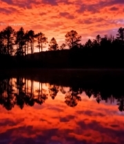  湖面倒映绚丽晚霞与树林7120#竖屏 	 