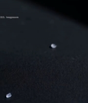  红心柚切片特写198#竖屏 	 