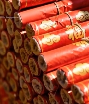  红色福字鞭炮特写(1)5861#竖屏 	 