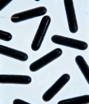  黑色胶囊微距特写素材4981#竖屏 	 