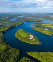  航拍河流森林自然风光231#竖屏 	 