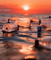  日落时海面漂浮的塑料瓶4673#竖屏 	 