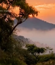  日出时山间宝塔自然风光4045#竖屏 	 