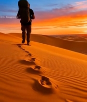  人在沙漠中行走7825#竖屏 	 