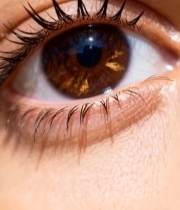  人眼睫毛眼球特写5437#竖屏 	 