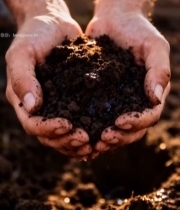  人手捧土壤特写素材1802#竖屏 	 