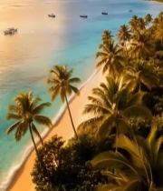  热带海滩海景与棕榈树景观4159#竖屏 	 