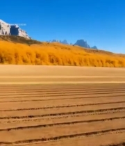  秋日田野与远山风景6456#竖屏 	 