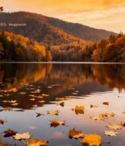  秋日山林湖泊风景4451#竖屏 	 