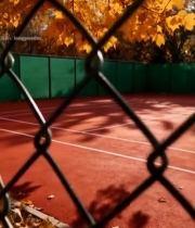  秋日透过围栏的网球场景象7231#竖屏 	 