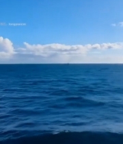  晴朗海面阳光照射景象4216#竖屏 	 