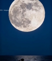  情侣月下海边相拥1139#竖屏 	 