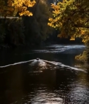  秋日河流小船风景457#竖屏 	 