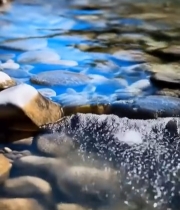  清澈溪流中的鹅卵石5225#竖屏 	 