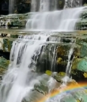  瀑布下的彩虹自然景观525#竖屏 	 