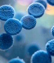  培养皿中的细胞微观画面2149#竖屏 	 