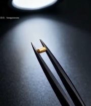  镊子夹取微小金色物件特写2295#竖屏 	 