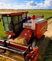  农田收割机作业画面(1)3434#竖屏 	 