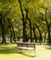  年轻人户外亲密合影2278#竖屏 	 