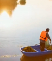  男子湖面小船打捞水草3059#竖屏 	 