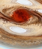  木星表面大红斑特写206#竖屏 	 