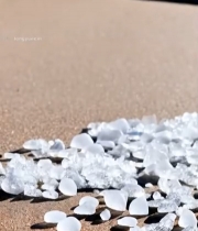  木碗中白冰糖特写210#竖屏 	 