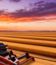  麦田夕阳下收割机作业4912#竖屏 	 