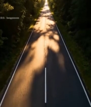  林间公路阳光洒落景象(1)2424#竖屏 	 