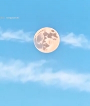  蓝天中月亮与白云同框4122#竖屏 	 