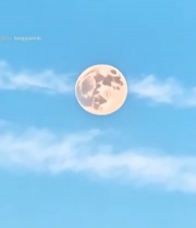  蓝天中月亮与白云同框4122#竖屏 	 